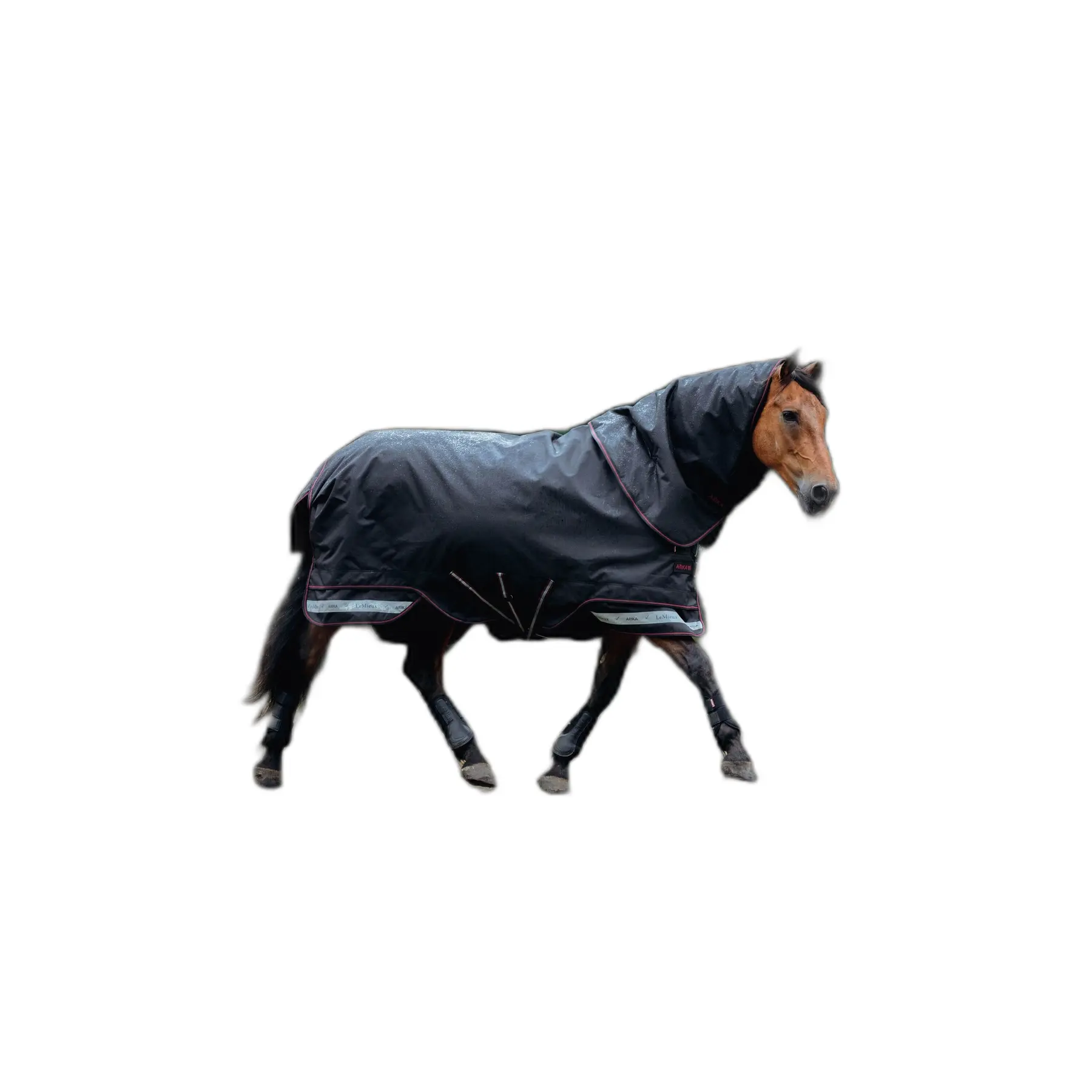 Coperta impermeabile per cavalli LeMieux Arika Storm-Tek 100g