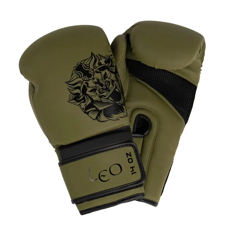 Boxhandschuhe Leo Pattaya