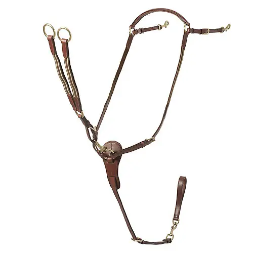 Jagdhalsband für Pferde mit Martingal Lexhis