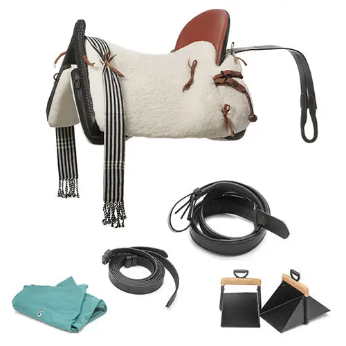 Complete Saddle Equipment Lexhis