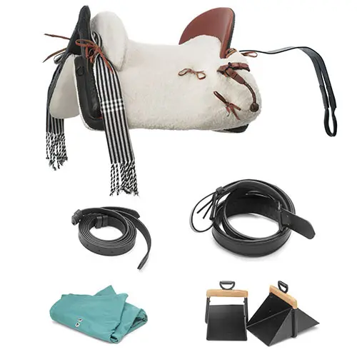 Complete Saddle Equipment Lexhis