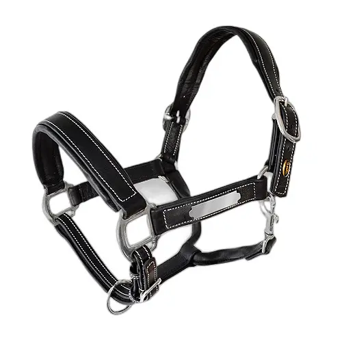 Leather halter for horses Lexhis
