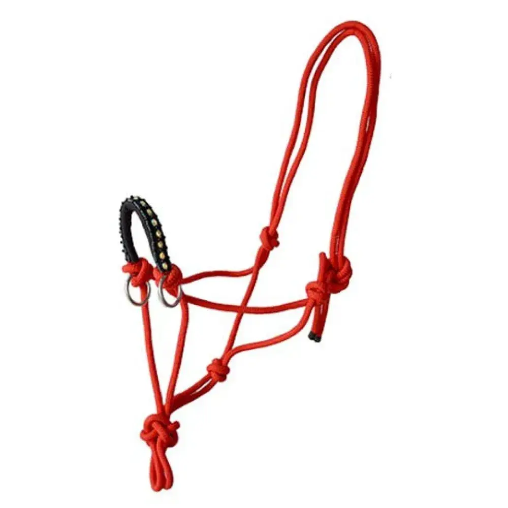 Rope halter for horse Lexhis