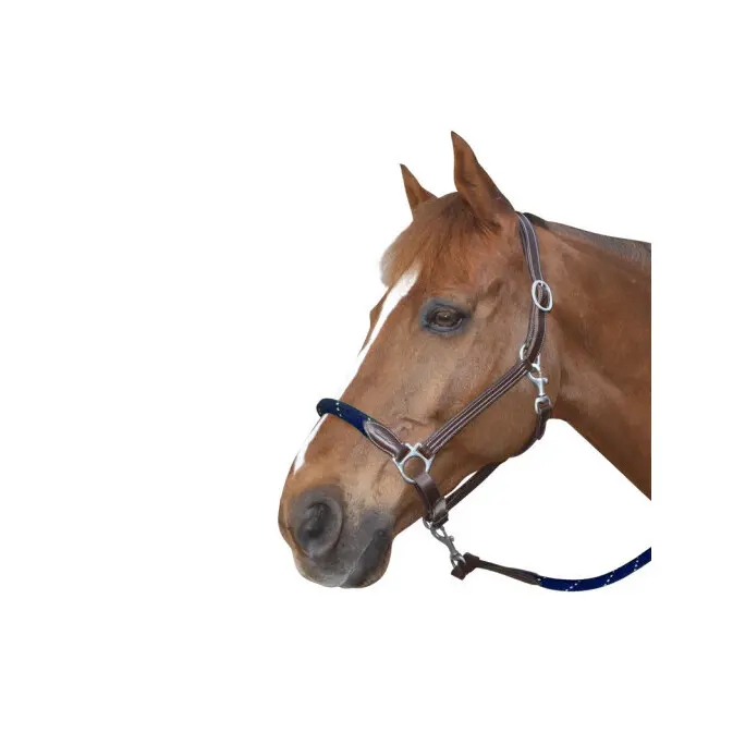 Leather halter for horse with reins Canter