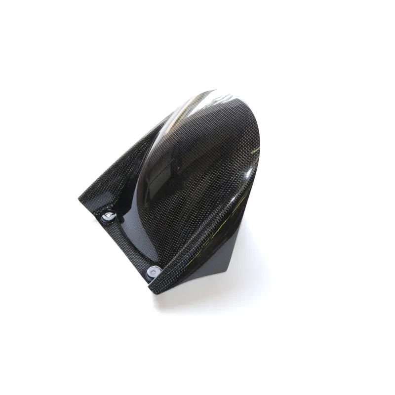 Achterspatborden voor motorfietsen Lightech Aprilia Rsv4 R Abs [1000]