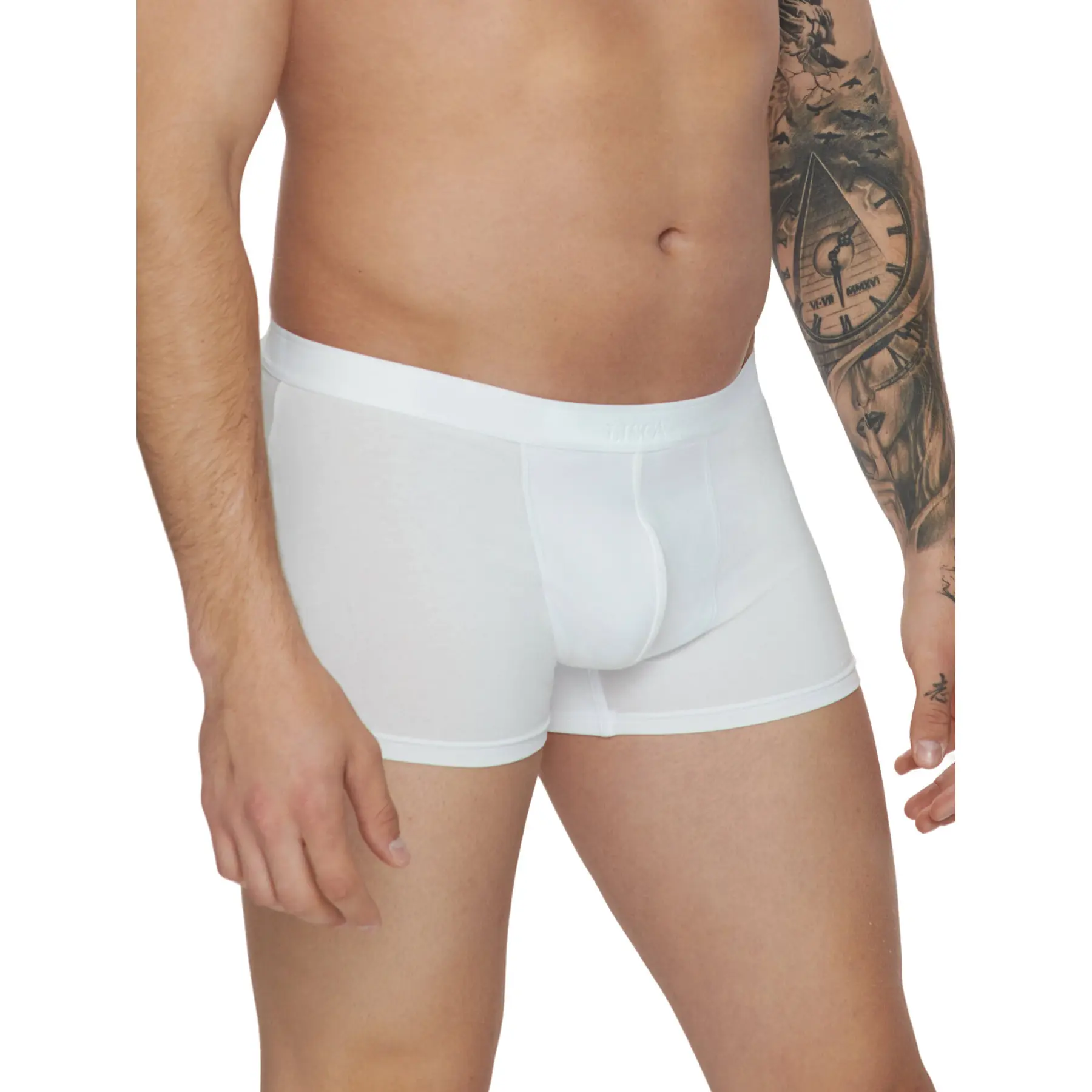 Boxer Lisca Hermes (x2)