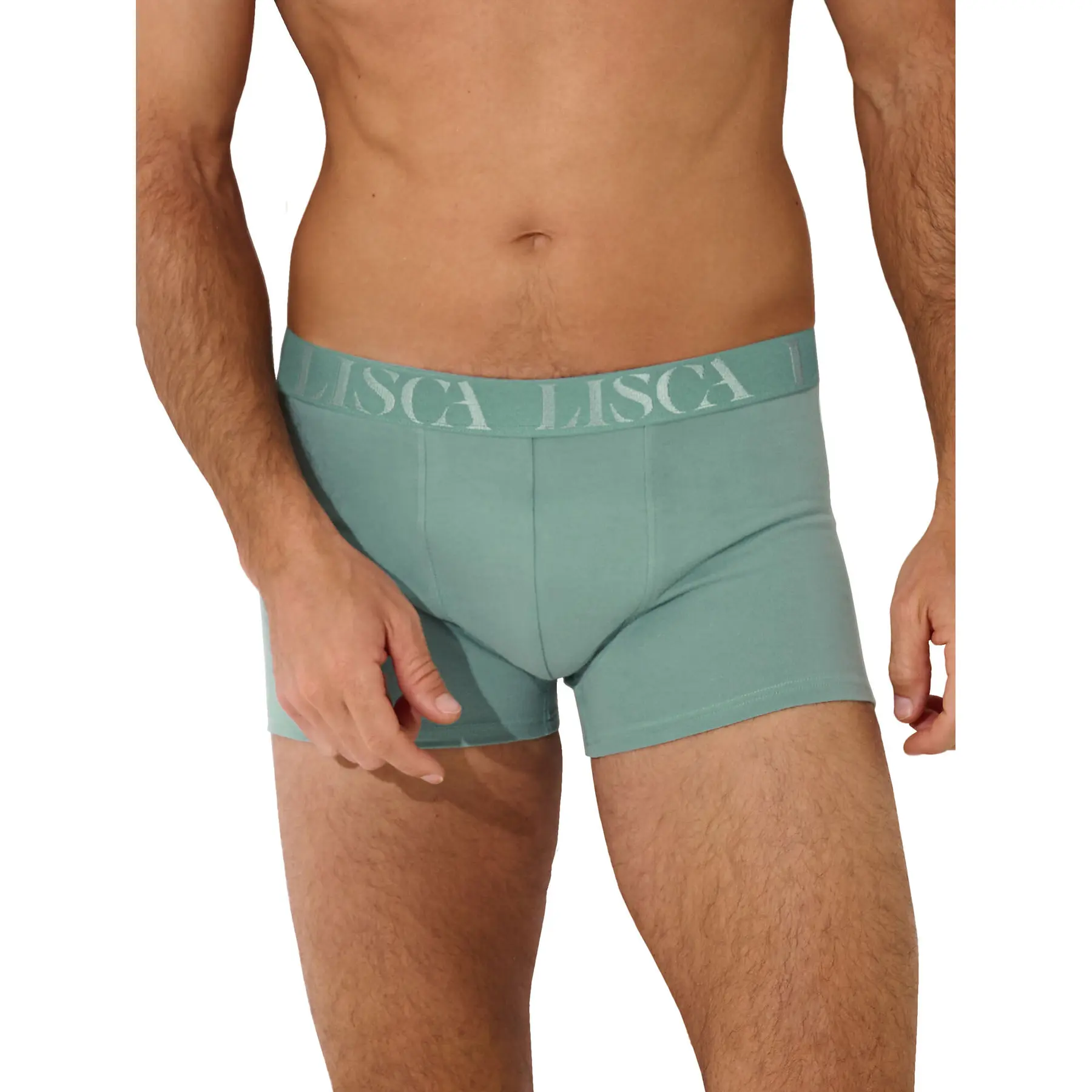 Boxer Lisca Odysseus