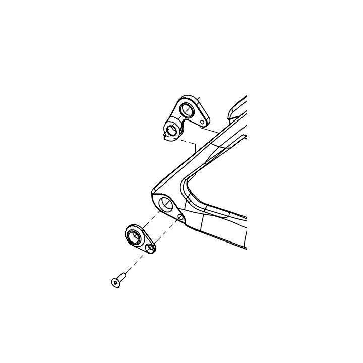 Look 795 Blade Rs/765 Op2/796 Mono Derailleurhanger Zilver