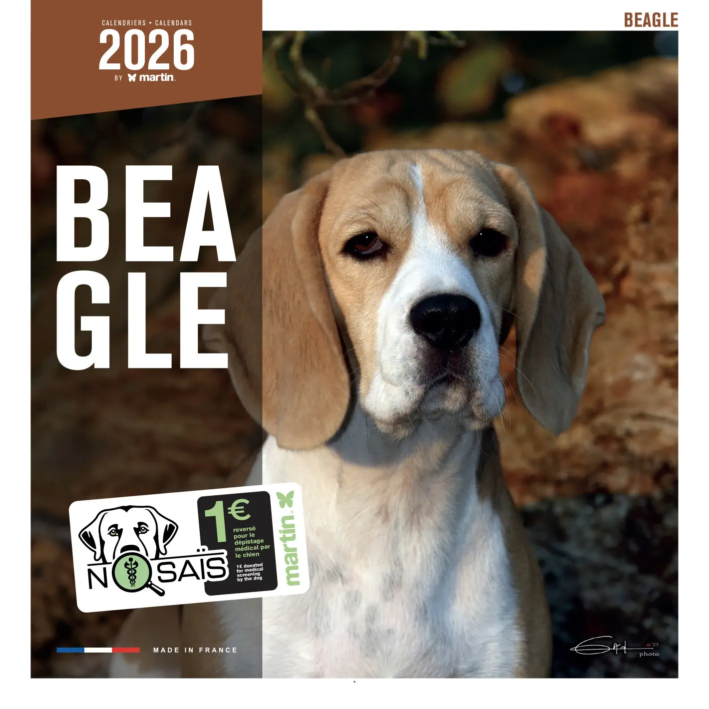 Calendrier Martin Sellier Beagle