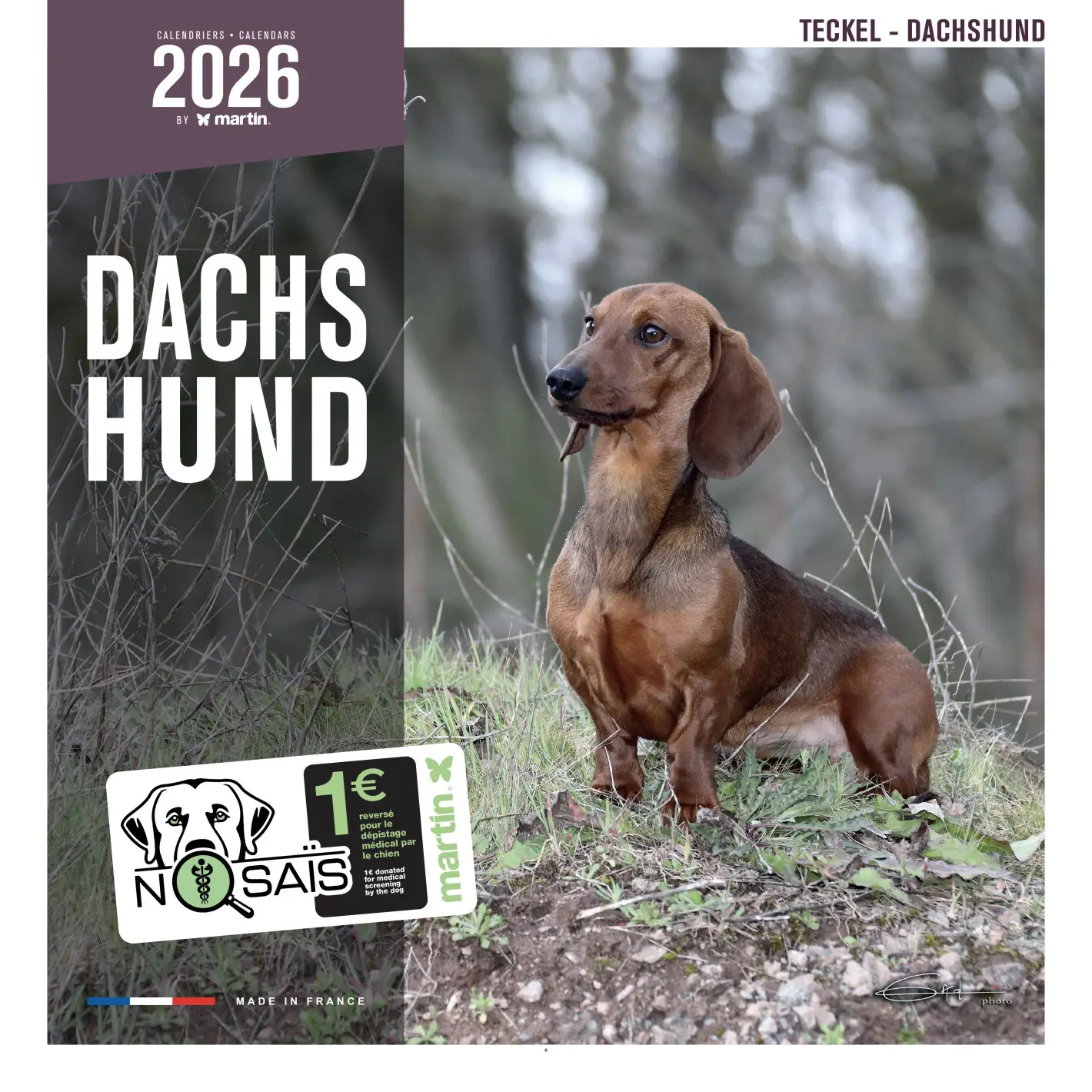 Calendar Martin Sellier Teckel