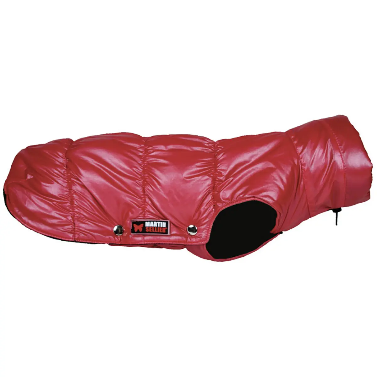Dog Blanket Martin Sellier Glossy