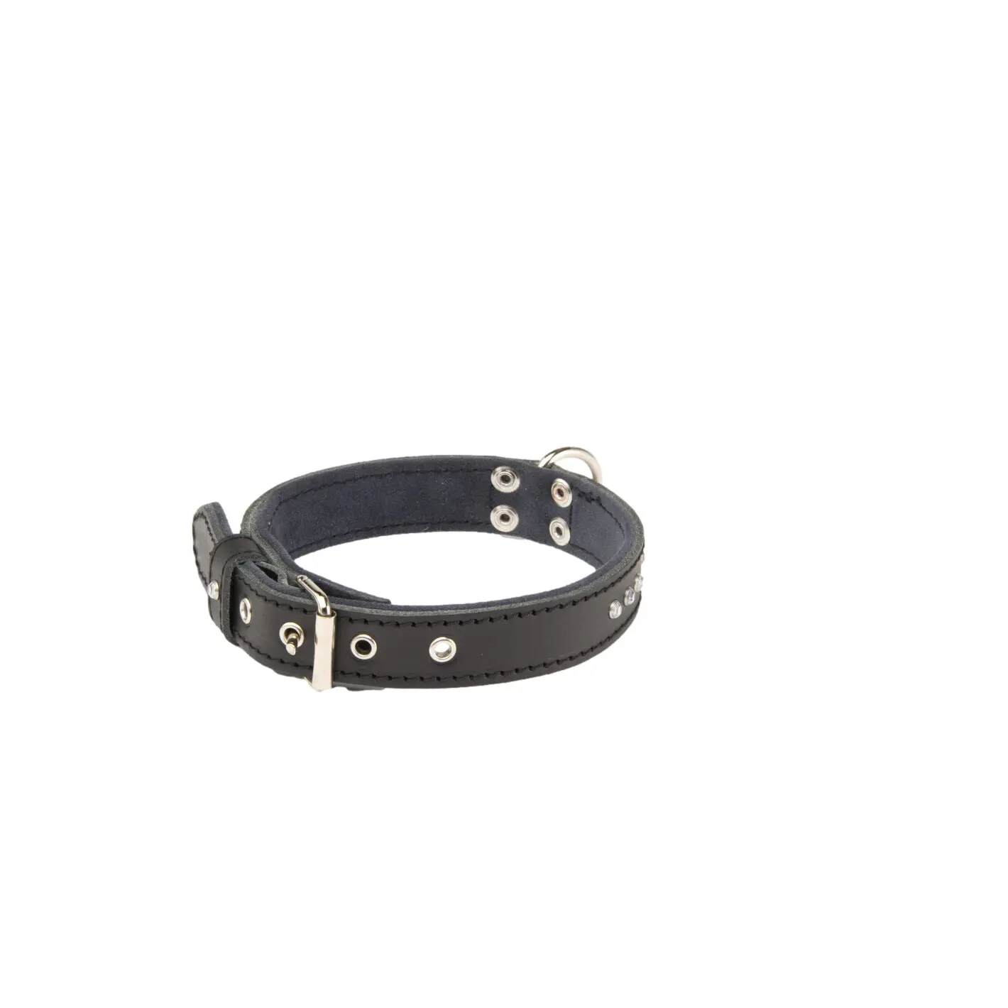Dog collar Martin Sellier Class