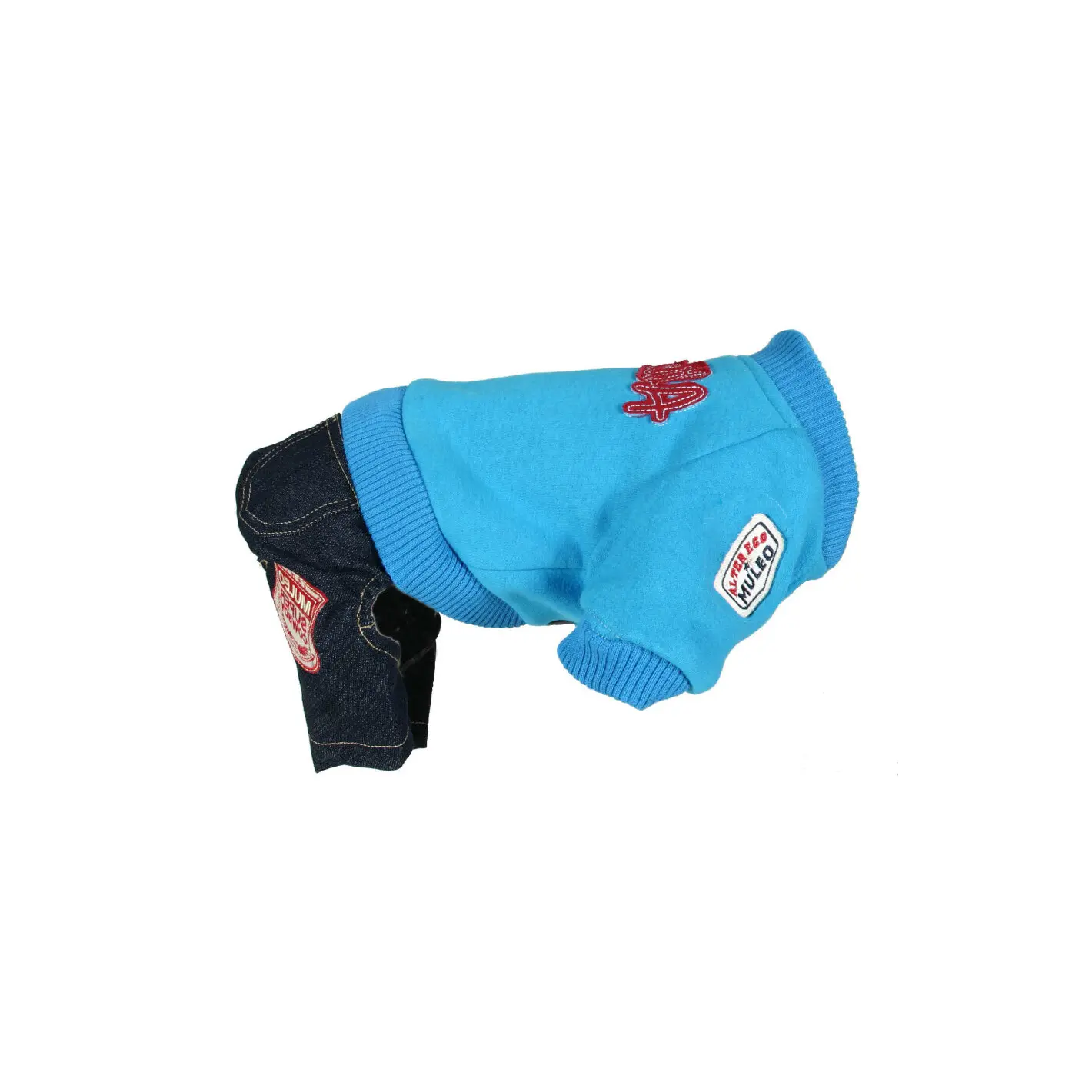 Sweatshirt et pantalon pour chien Martin Sellier US AE