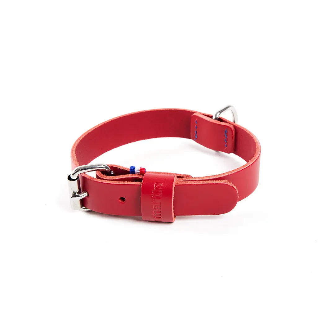 Collare per cane in pelle bicolore Martin Sellier 499