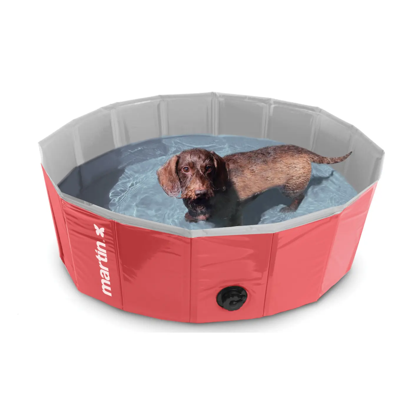Dog pool Martin Sellier Pool