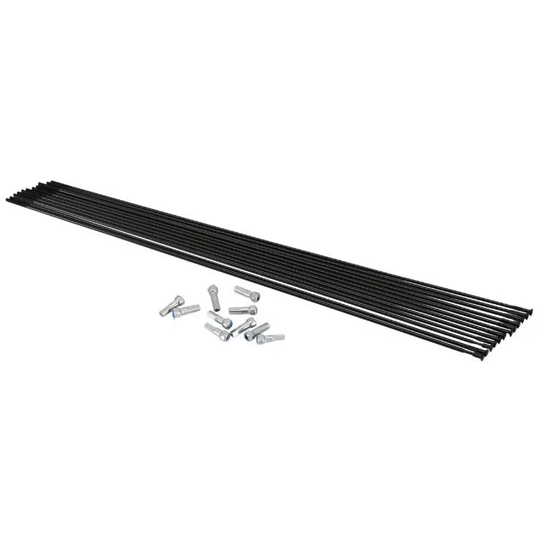 Edelstahl gerade Stange Mavic Ds Xone-xride Ftsx-aksium (x12)