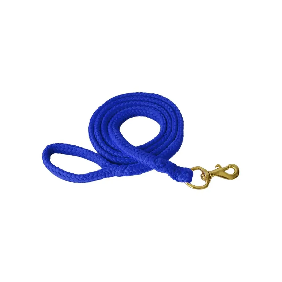 Riding lead Mehis