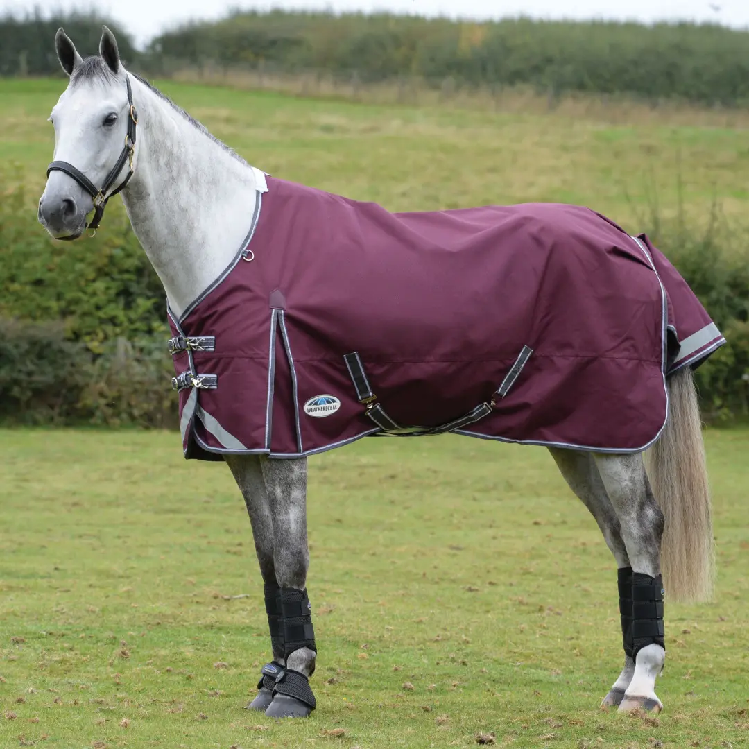 Coperta da paddock per cavalli Weatherbeeta Comfitec Plus Dynamic II 220 g
