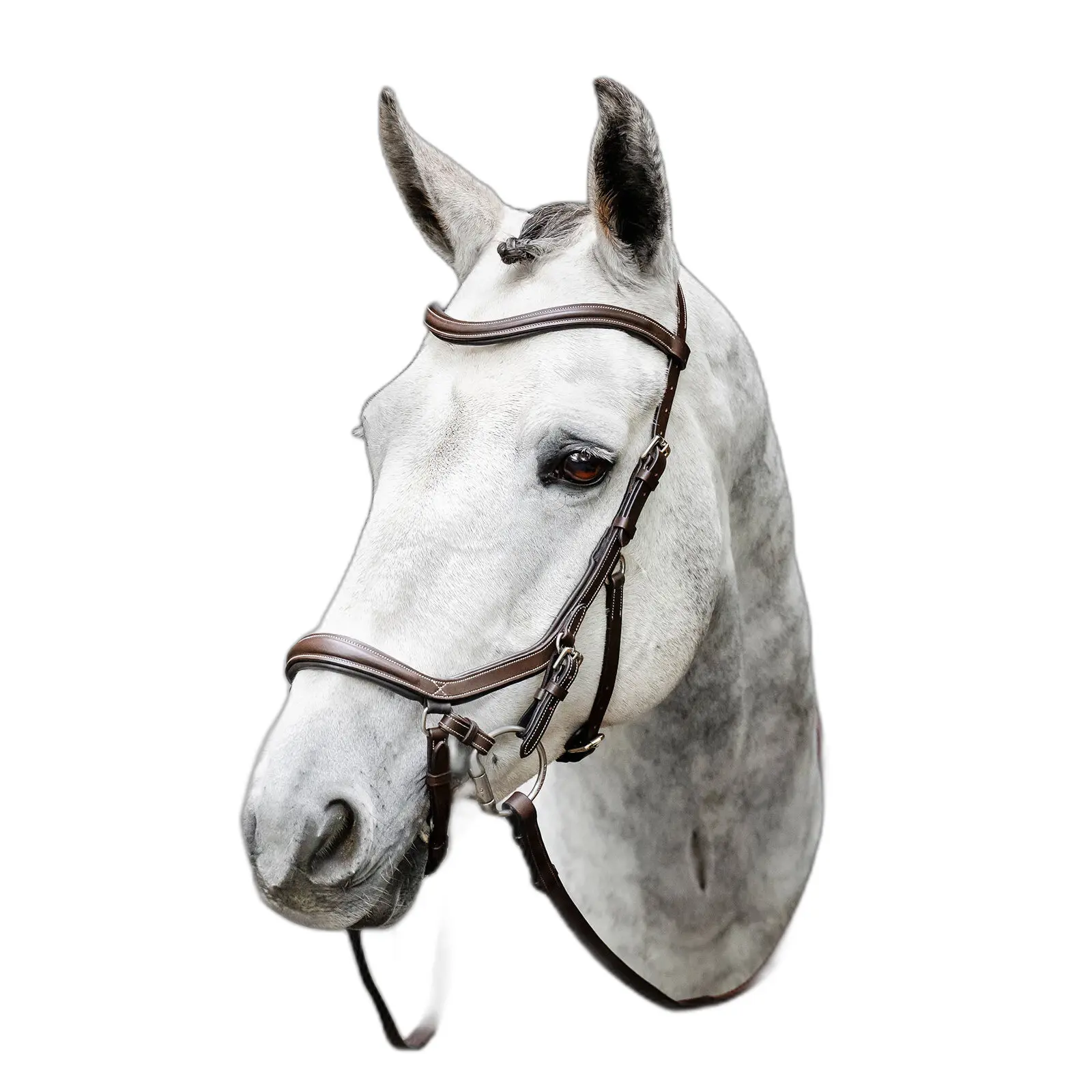 Riding bridle Micklem Bitles