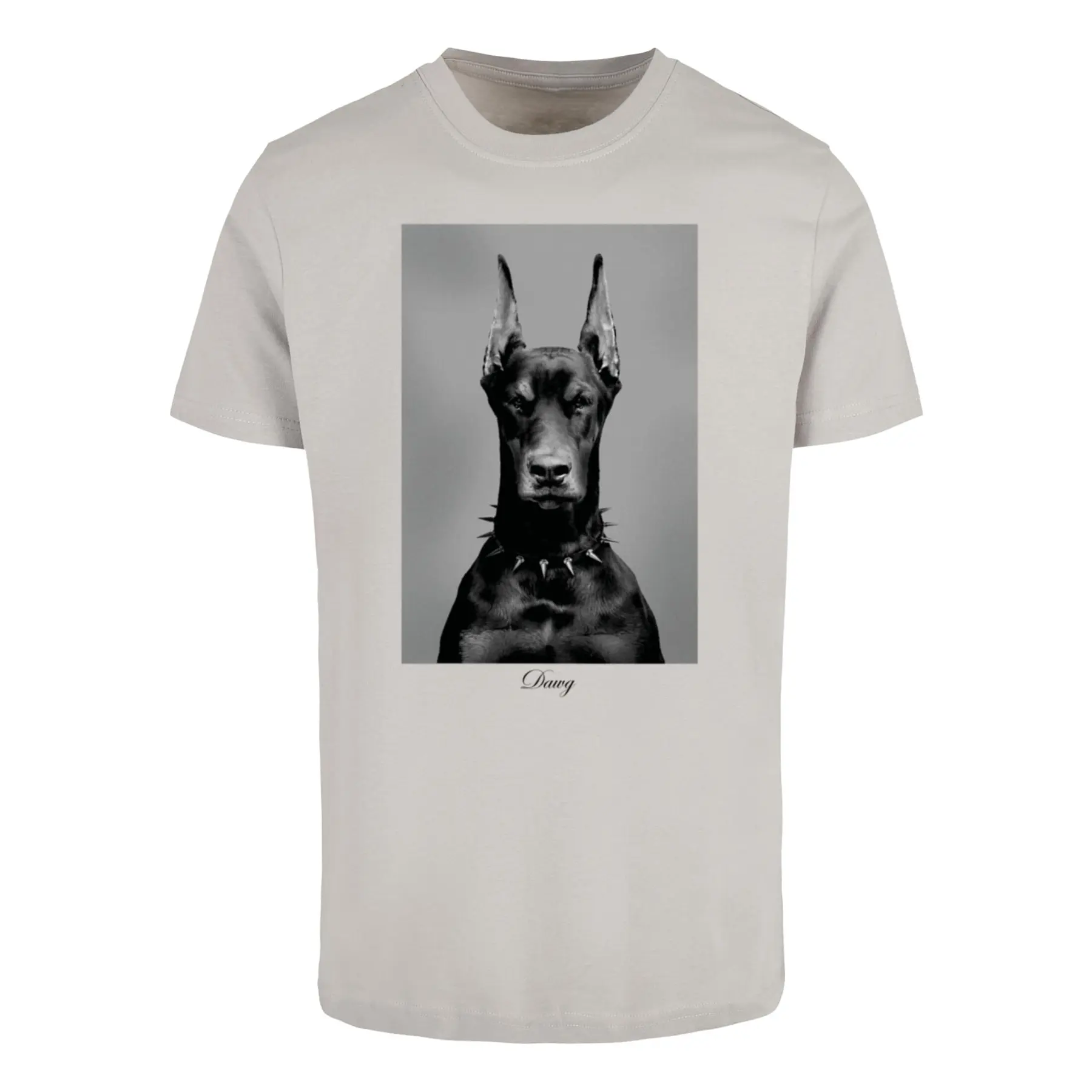 T-Shirt Mister Tee Dawg