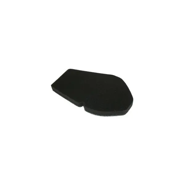 Motorrad-Luftfilter MIW Suzuki 125 Burgman (rempl 2644681)02-06