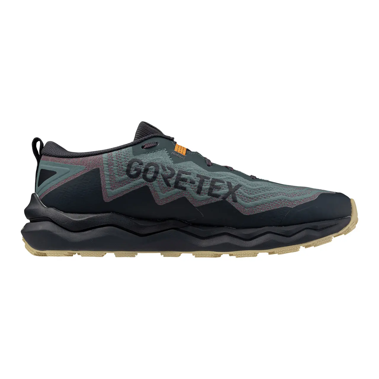 Trail-Schuhe Mizuno Wave Daichi 9 Gtx