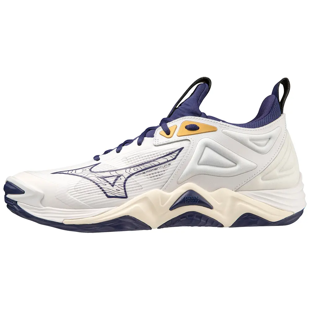 Hallenschuhe Mizuno Wave Momentum 3