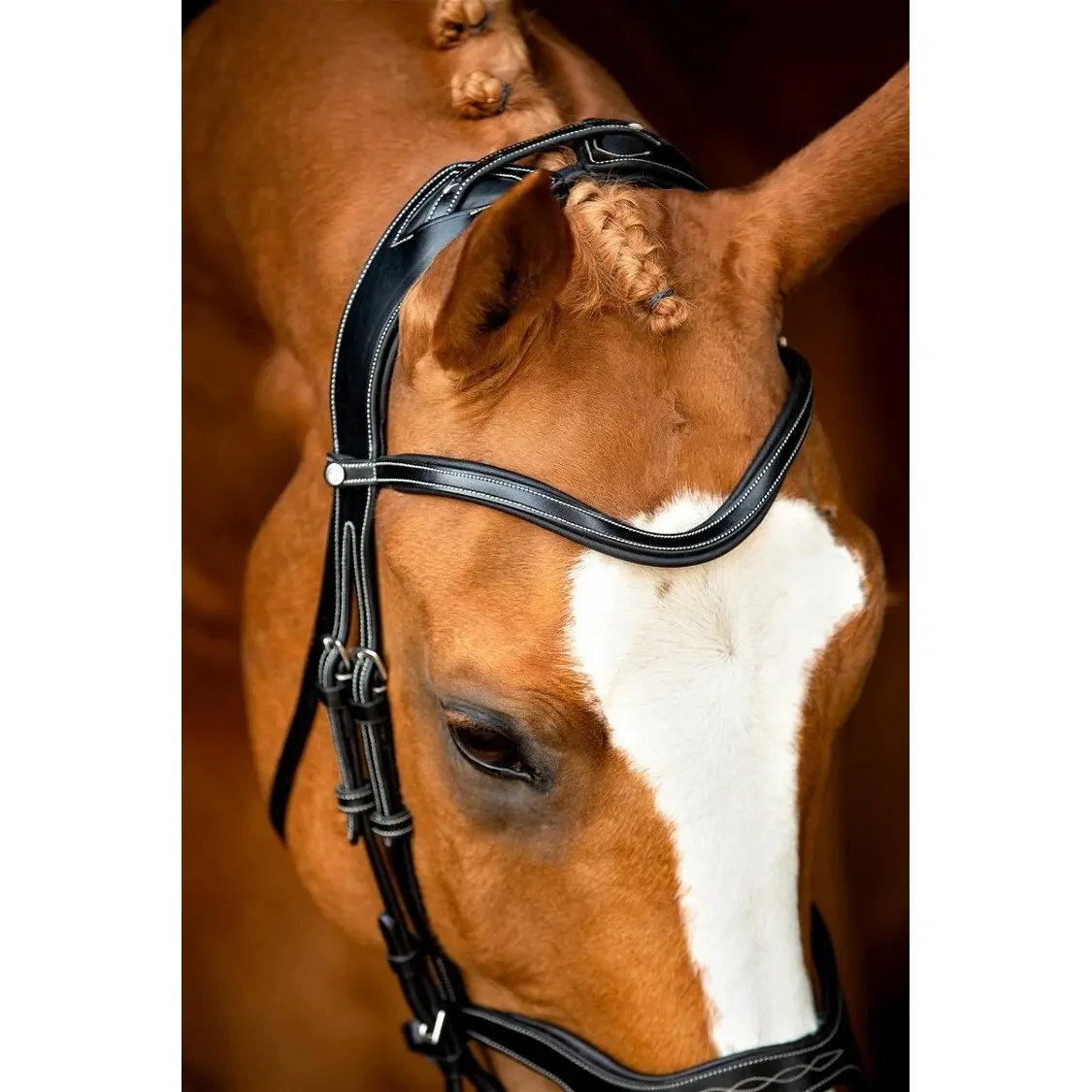 Vegan leather riding bridles Montar Monarch Jumping ECO