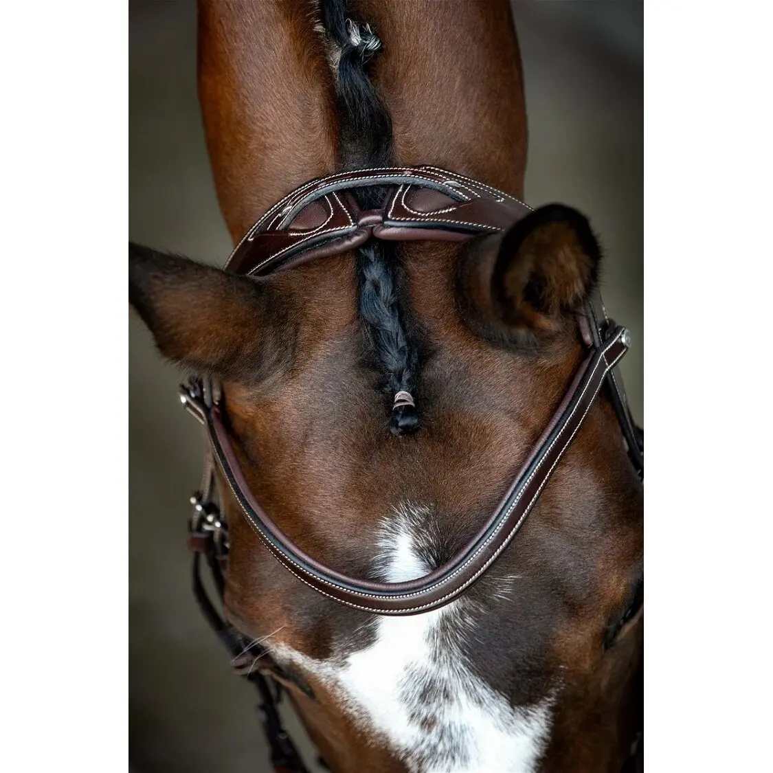 Vegan leather riding bridles Montar Monarch Jumping ECO