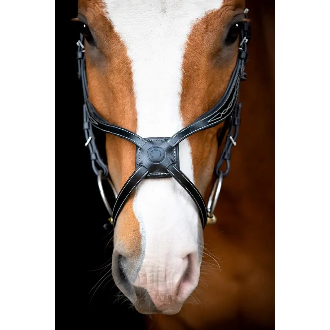 Vegan leather riding bridles Montar Lyon Fig 8 Jumping ECO