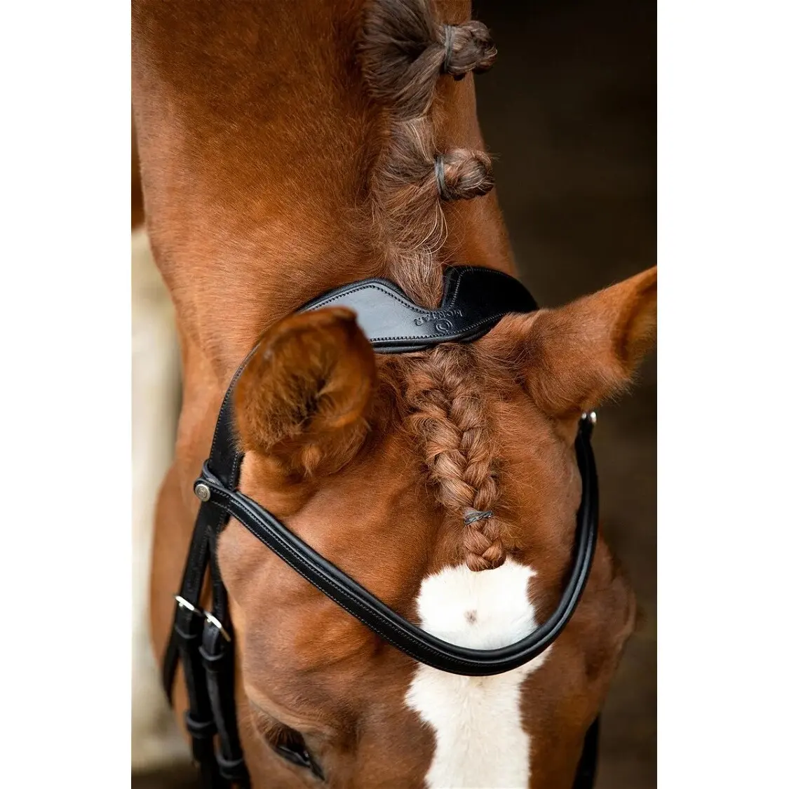 Montar Black Vegan Leather Dressage Bridles Normandie Eco