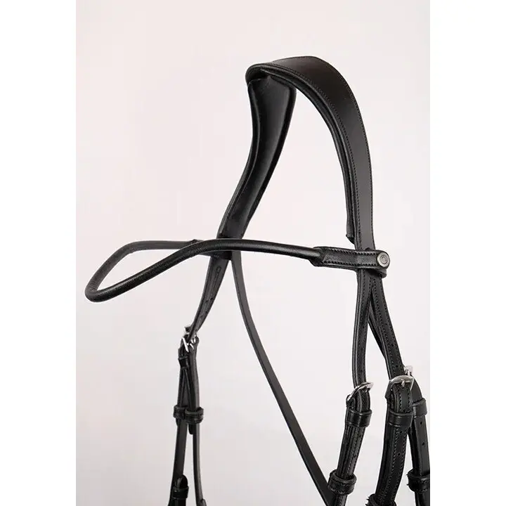 Leather horse browband Montar