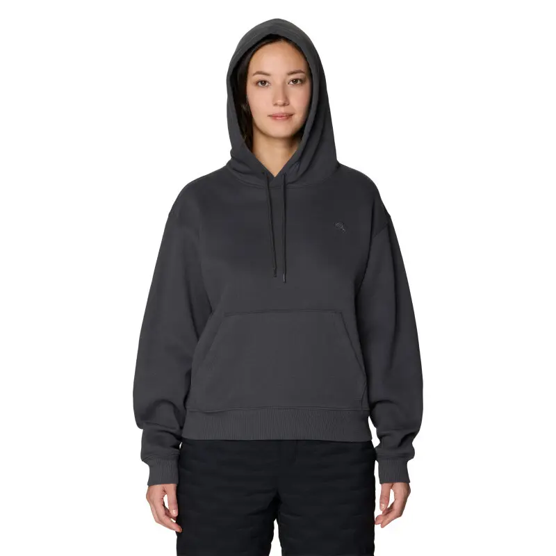 Logo hoodie Mountain Hardwear