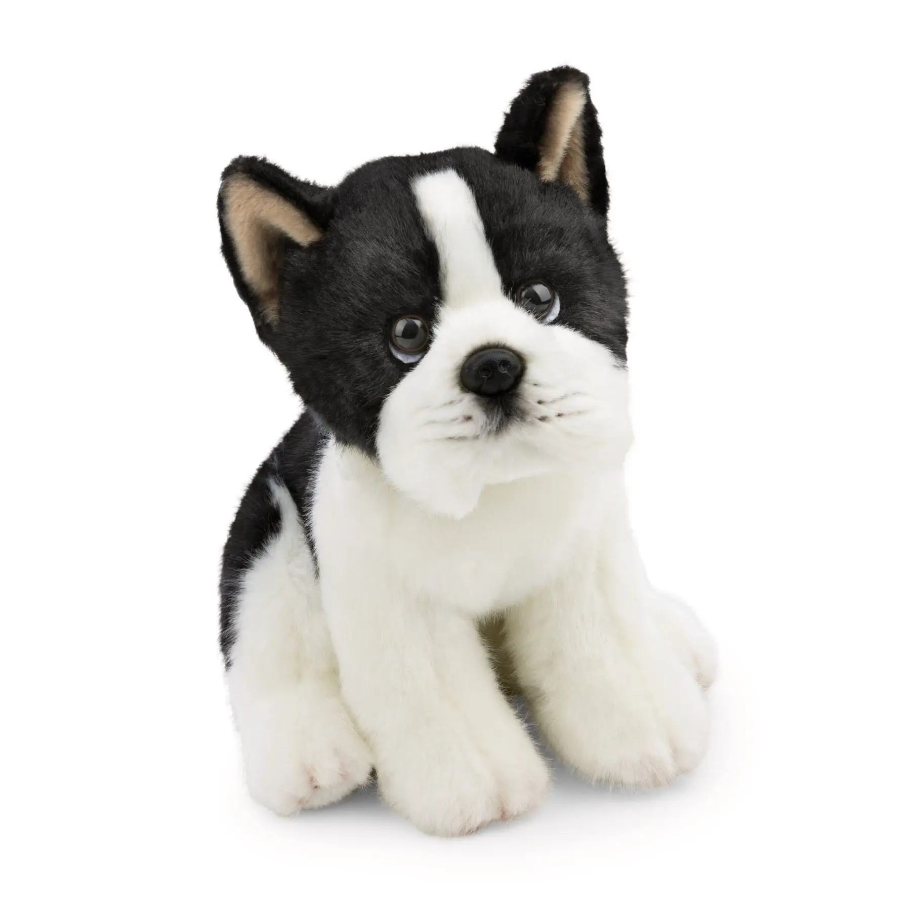 Plüschtier Hund Nici Boston Terrier