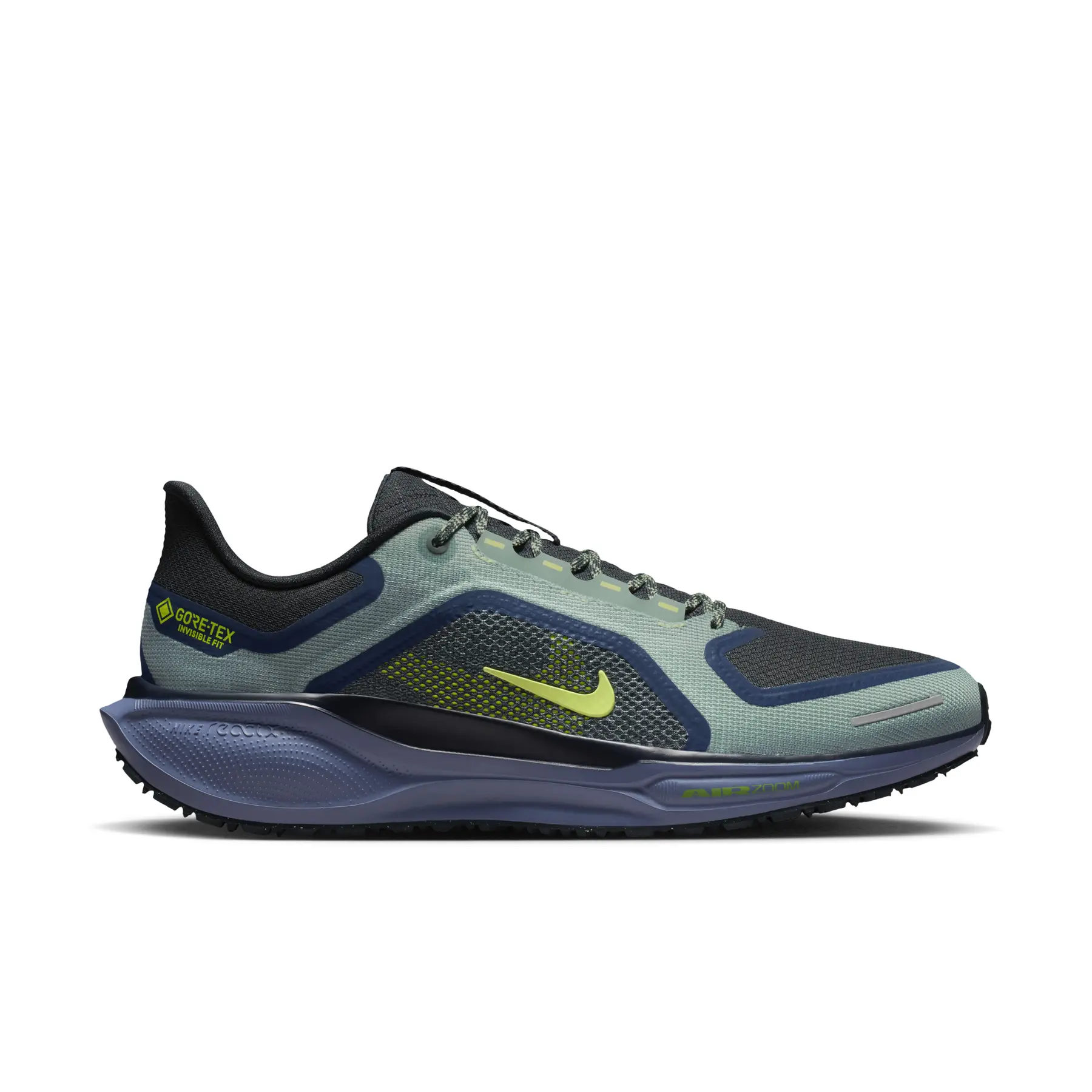 Laufschuhe Nike Pegasus 41 Gore-Tex