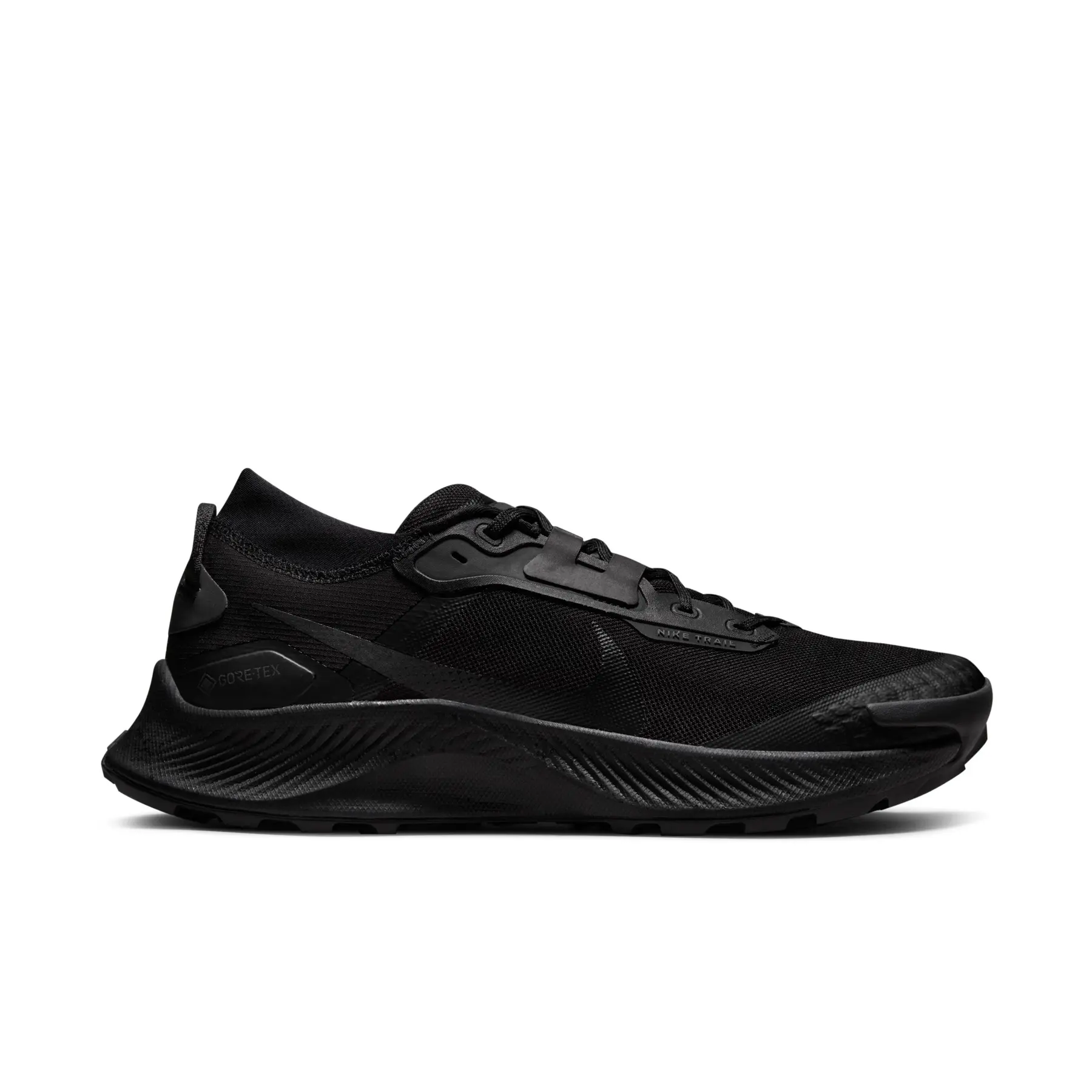 Schoenen Nike Pegasus Trail 3 Gore-Tex