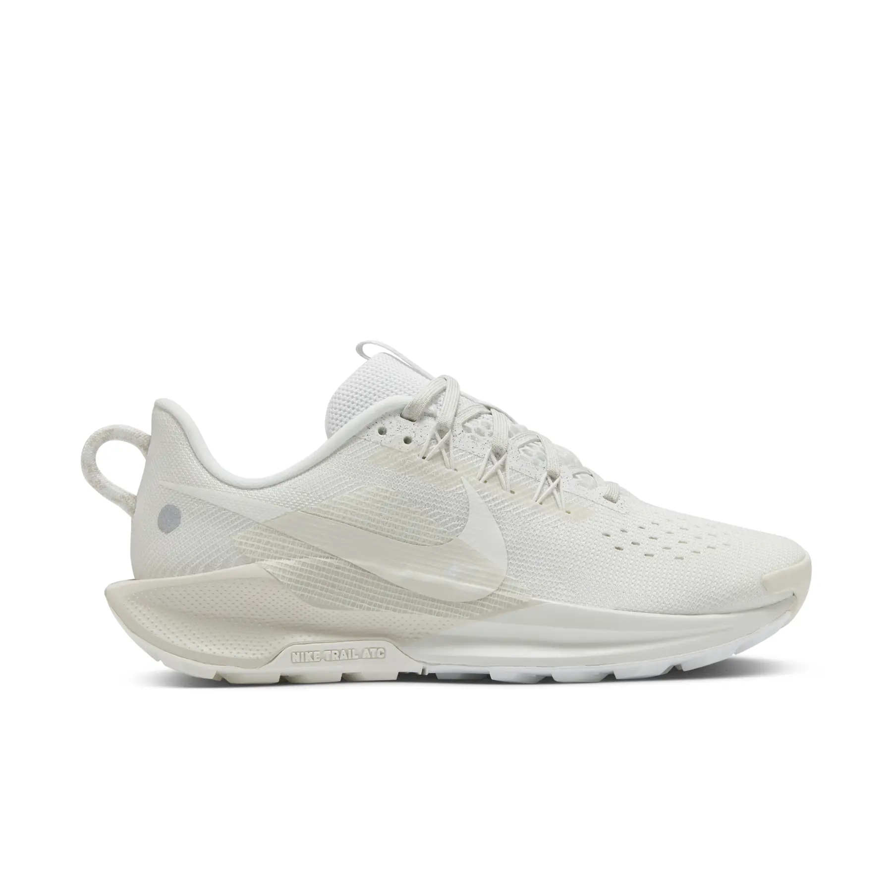 Nike Pegasus 5