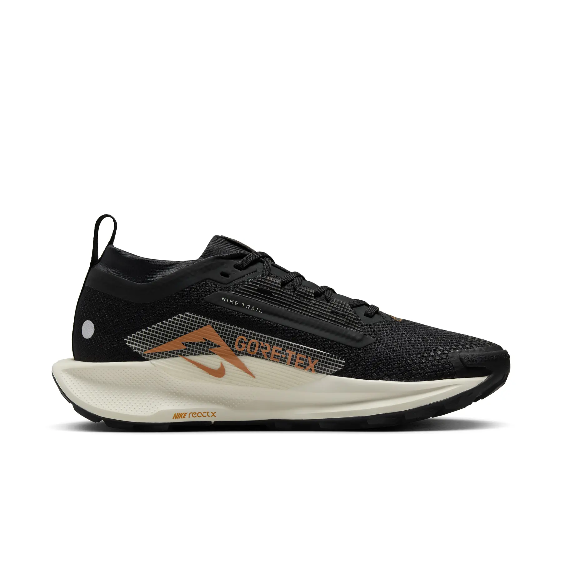 Nike Pegasus 5 Gore-Tex, vue de côté