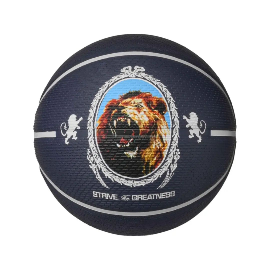nike Playground 8P 2.0 LB Lebron James Ballon Basket Adulte Taille 7 - vue 2