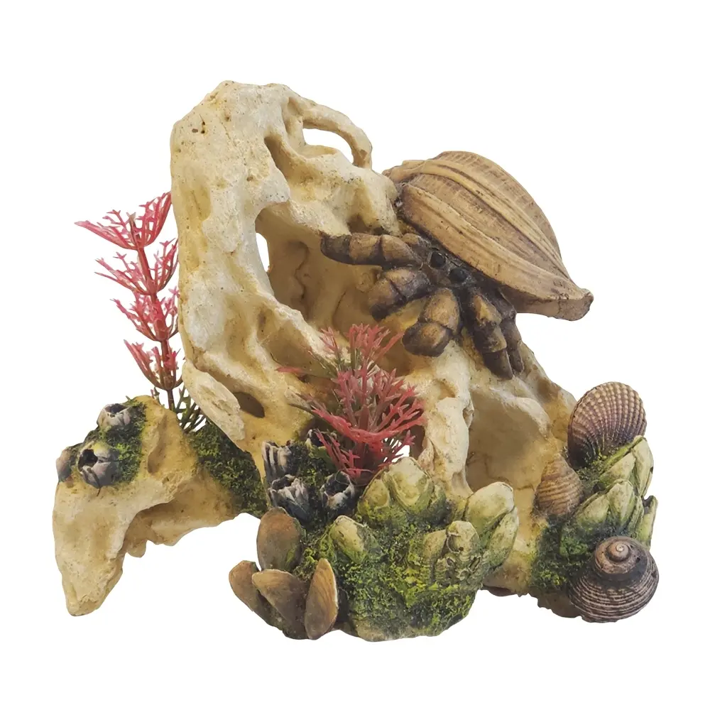 Aquariumdekoration Nobby Pet Muschel Auf Stein