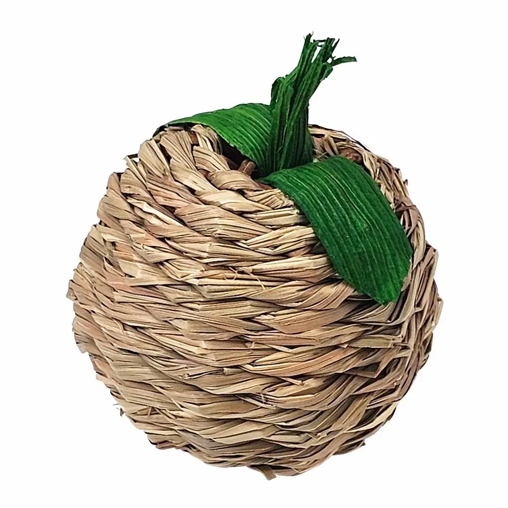 Pomme en algues Nobby Pet