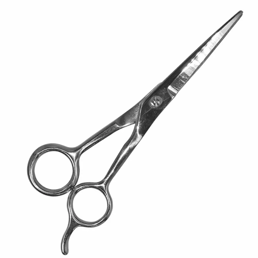 Stainless steel dog grooming scissors Nobby Pet