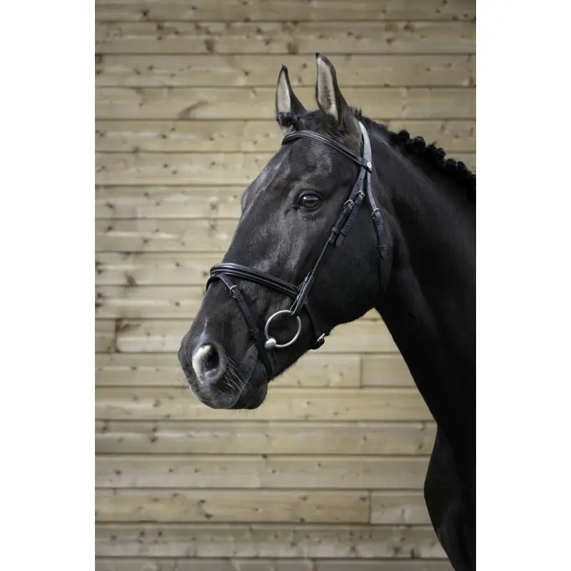 Briglie da equitazione Norton Pro Fin