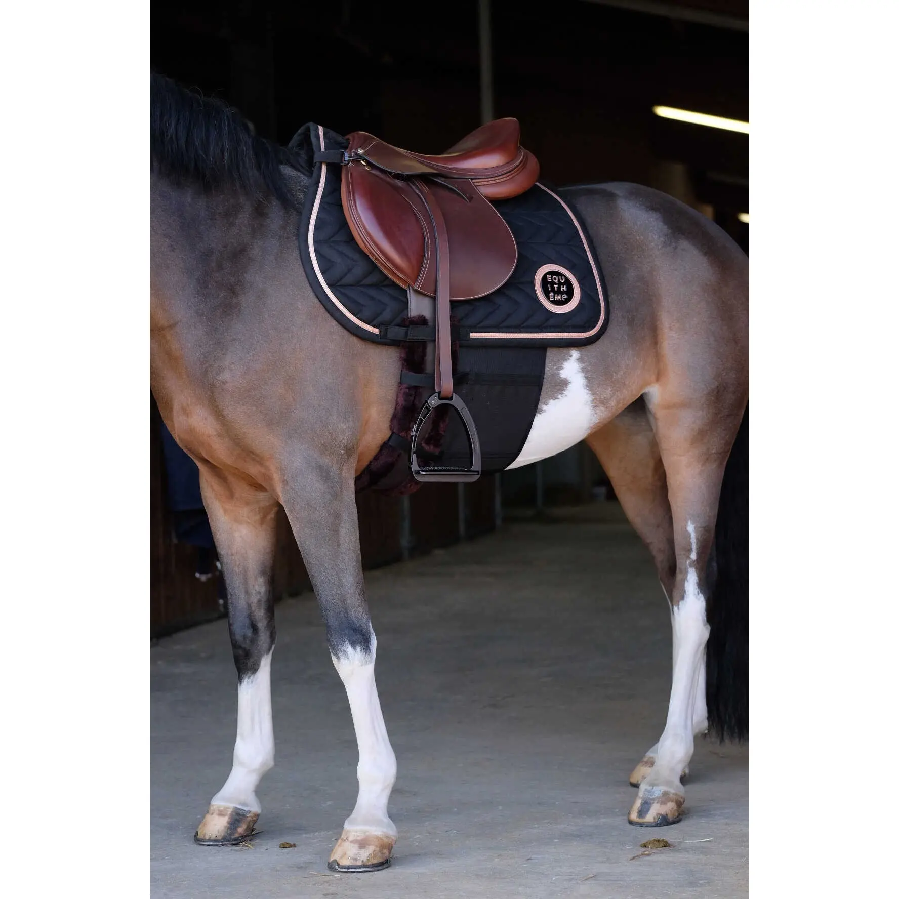 Fascia di rispetto per il cavallo Norton