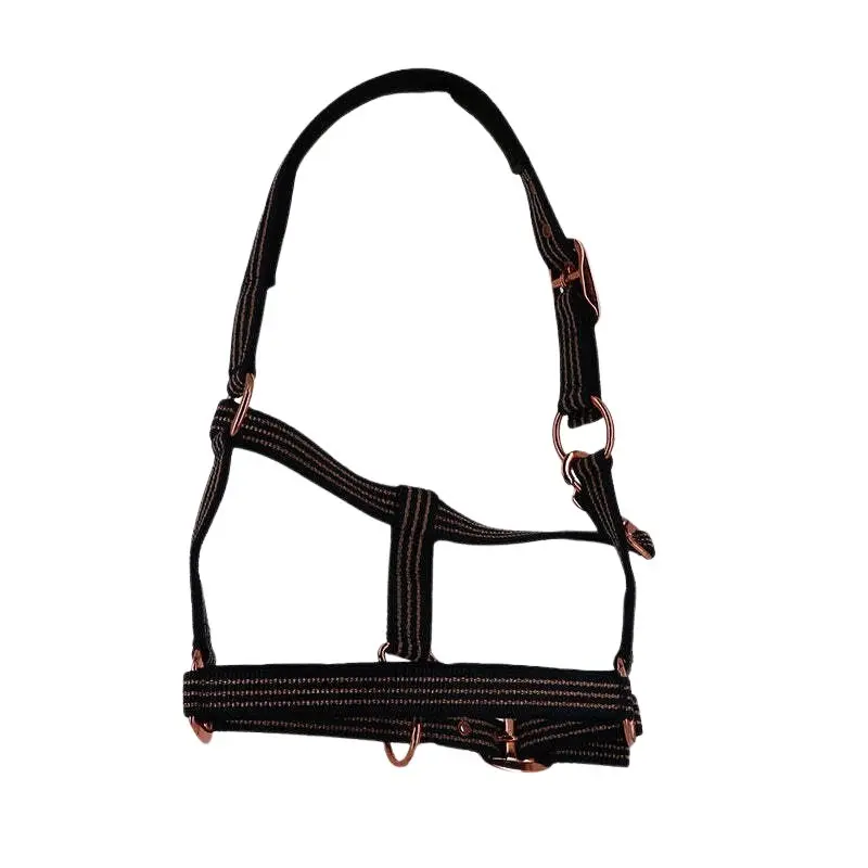 Norton Bleu Licol Pour Cheval Zari