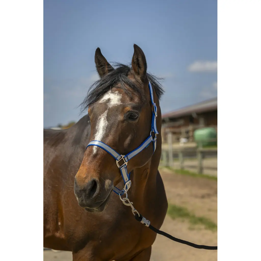 Soft nylon halter for horses Norton