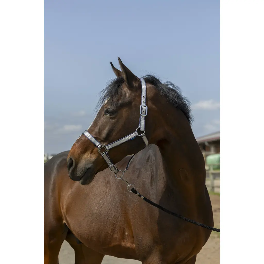 Soft nylon halter for horses Norton