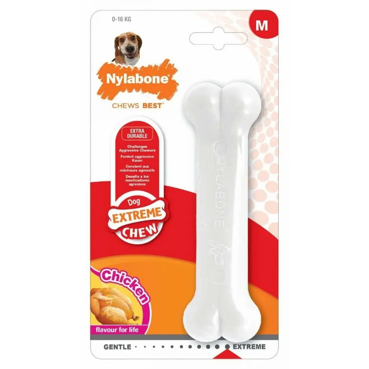 Dog toy Nylabone Extreme Chew - Chicken M