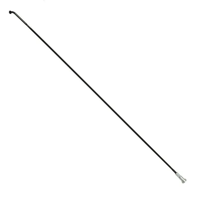 Flache Edelstahlspeiche mit abgewinkeltem Kopf und Muttern P2R Sapim 256 mm