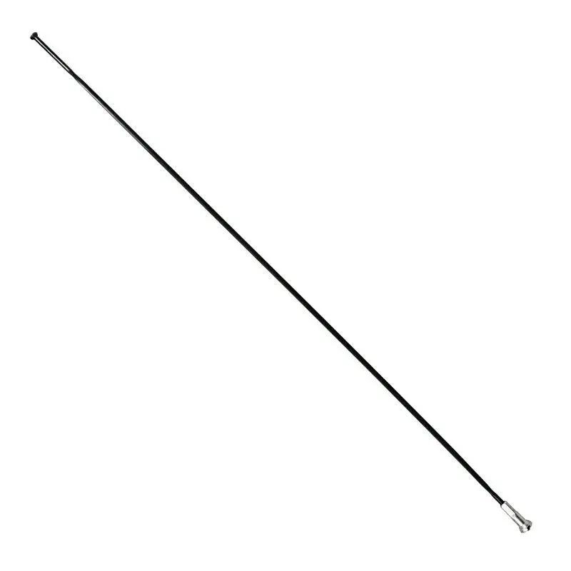 Roestvrijstalen spaak met platte kop en nippels P2R Sapim 254 mm